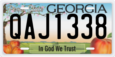 GA license plate QAJ1338