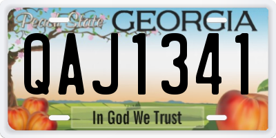 GA license plate QAJ1341