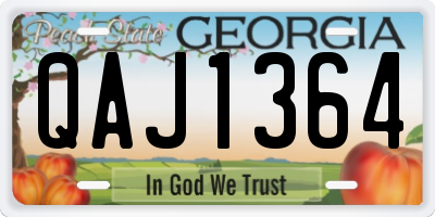 GA license plate QAJ1364