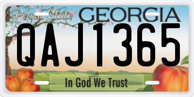 GA license plate QAJ1365