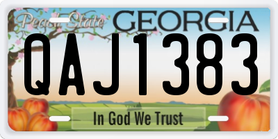GA license plate QAJ1383