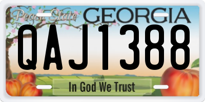 GA license plate QAJ1388