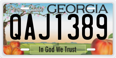 GA license plate QAJ1389