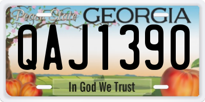 GA license plate QAJ1390