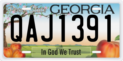 GA license plate QAJ1391