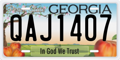 GA license plate QAJ1407