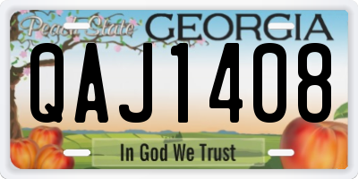 GA license plate QAJ1408