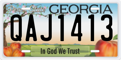 GA license plate QAJ1413