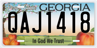 GA license plate QAJ1418