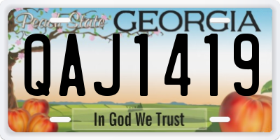 GA license plate QAJ1419