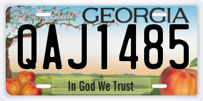 GA license plate QAJ1485