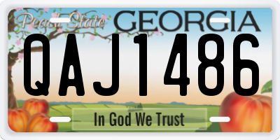 GA license plate QAJ1486