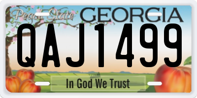 GA license plate QAJ1499