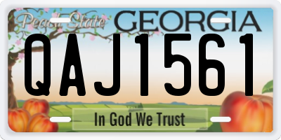 GA license plate QAJ1561