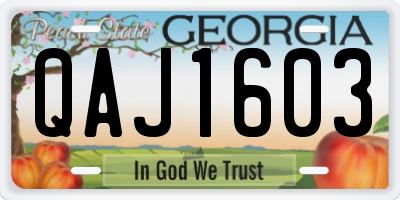 GA license plate QAJ1603
