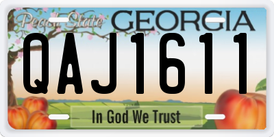 GA license plate QAJ1611