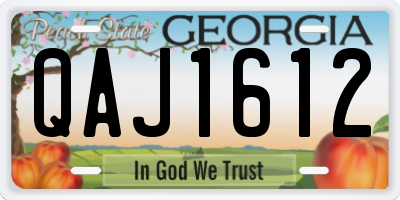GA license plate QAJ1612