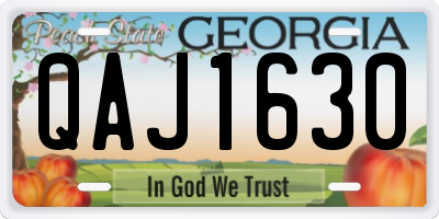 GA license plate QAJ1630