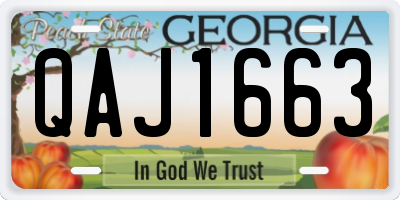 GA license plate QAJ1663