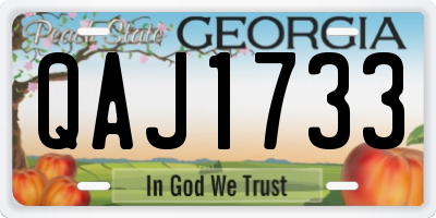 GA license plate QAJ1733