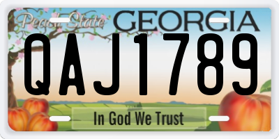 GA license plate QAJ1789