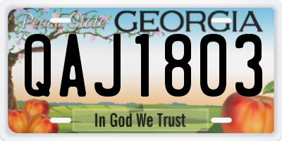 GA license plate QAJ1803