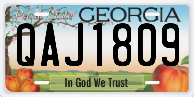 GA license plate QAJ1809