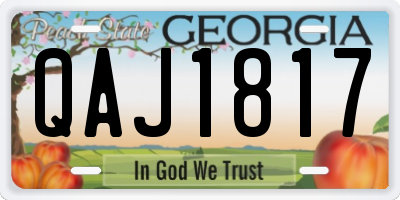 GA license plate QAJ1817