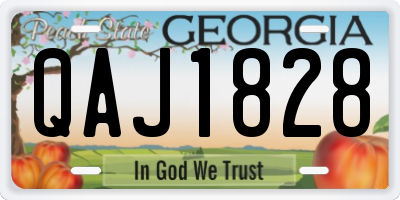 GA license plate QAJ1828