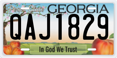 GA license plate QAJ1829