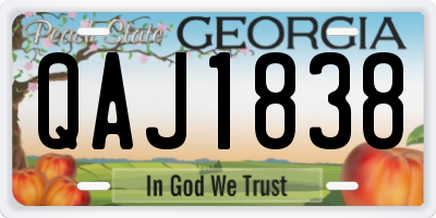 GA license plate QAJ1838