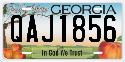 GA license plate QAJ1856