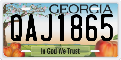 GA license plate QAJ1865