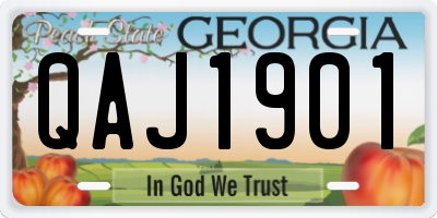 GA license plate QAJ1901