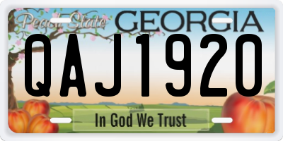 GA license plate QAJ1920