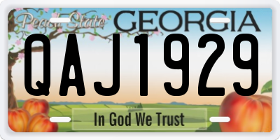 GA license plate QAJ1929