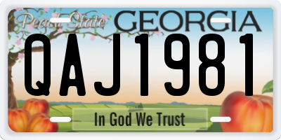GA license plate QAJ1981