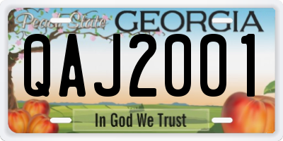 GA license plate QAJ2001