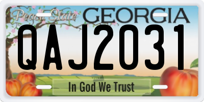 GA license plate QAJ2031