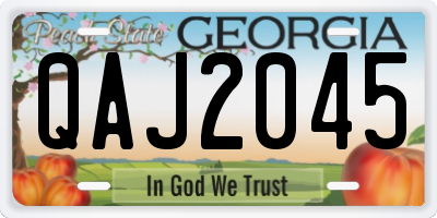 GA license plate QAJ2045