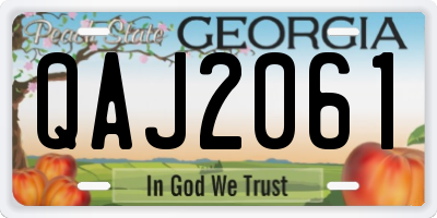 GA license plate QAJ2061