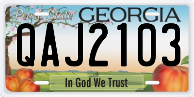 GA license plate QAJ2103