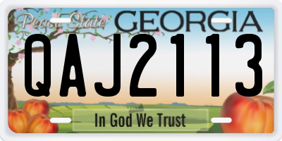 GA license plate QAJ2113