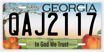 GA license plate QAJ2117