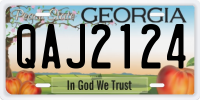 GA license plate QAJ2124