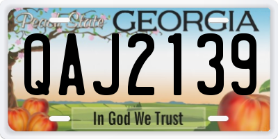 GA license plate QAJ2139