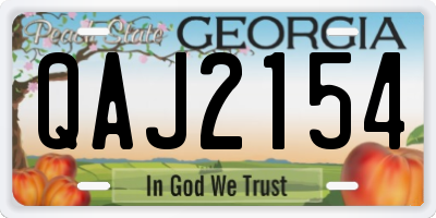 GA license plate QAJ2154