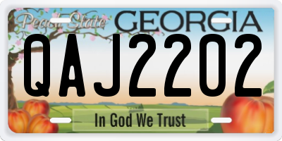 GA license plate QAJ2202
