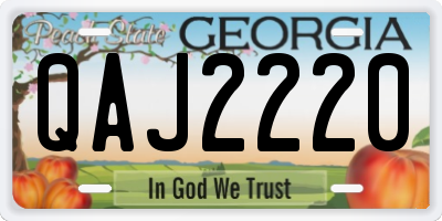 GA license plate QAJ2220