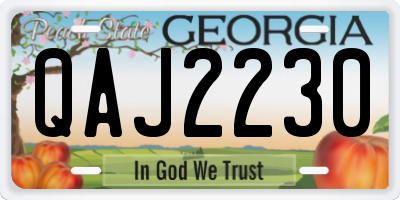 GA license plate QAJ2230